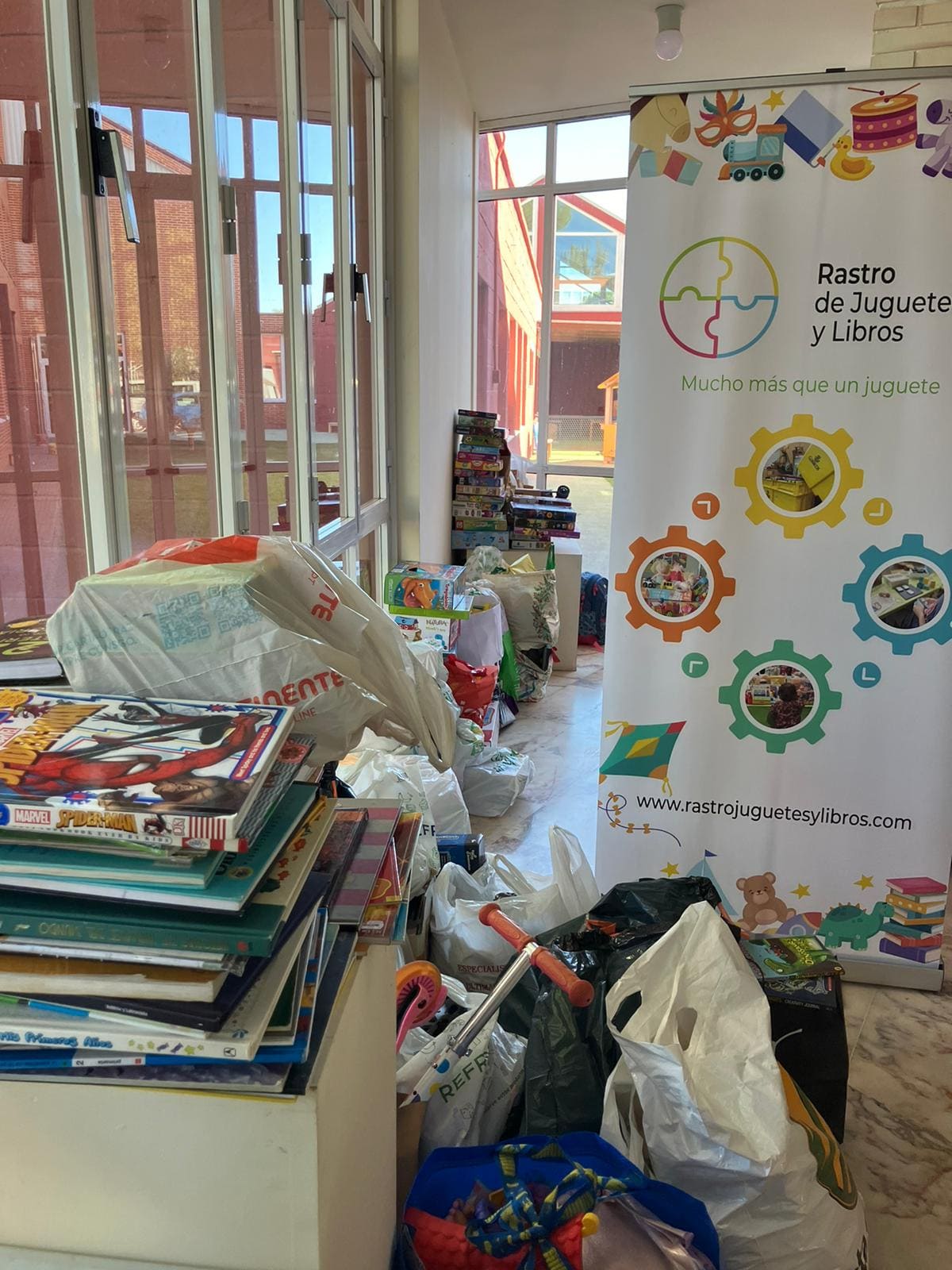 recogida juguetes y libros