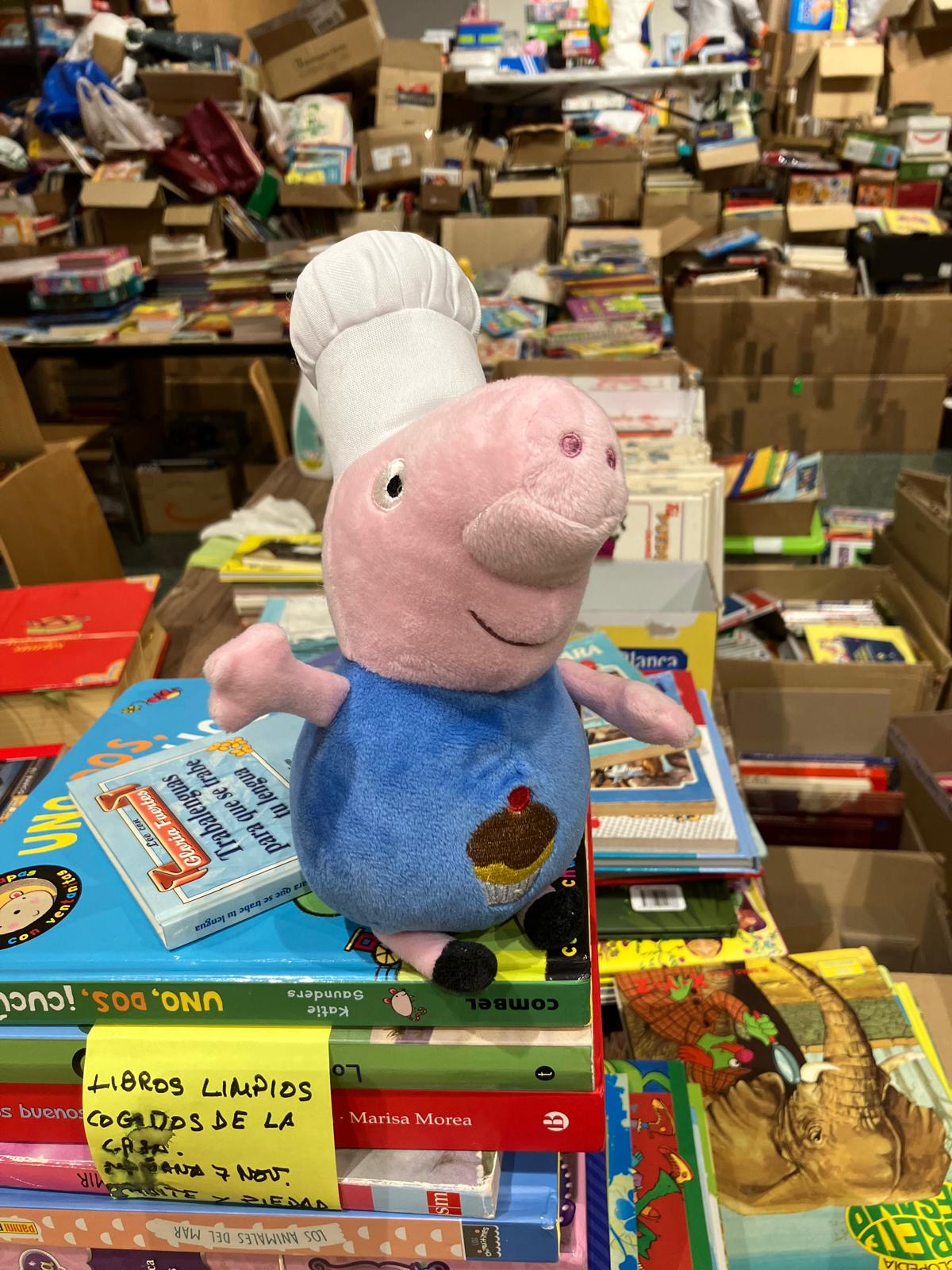 somos rastro de juguetes y libros