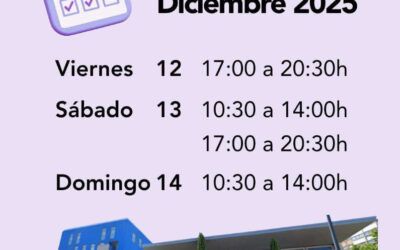Apertura del Rastro de Juguetes y Libros 2025